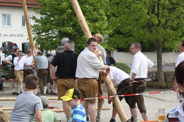 Maibaum 2013